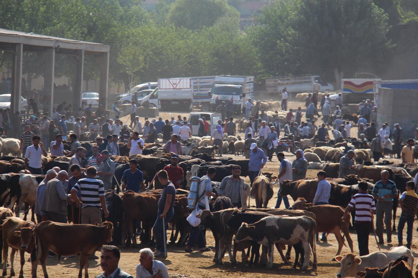 "Diyarbakır Canlı Hayvan Borsası çarşamba günleri kapatılmasın" "Diyarbakır Canlı Hayvan Borsası çarşamba günleri kapatılmasın"